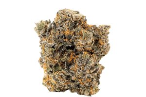 bava med 21/1 GEL-PI